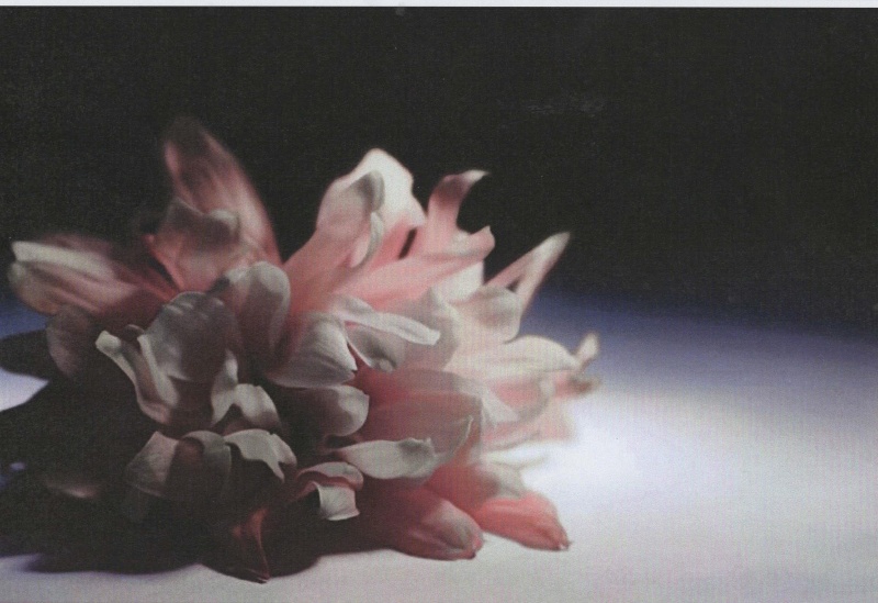 Rotary comp photo.jpg