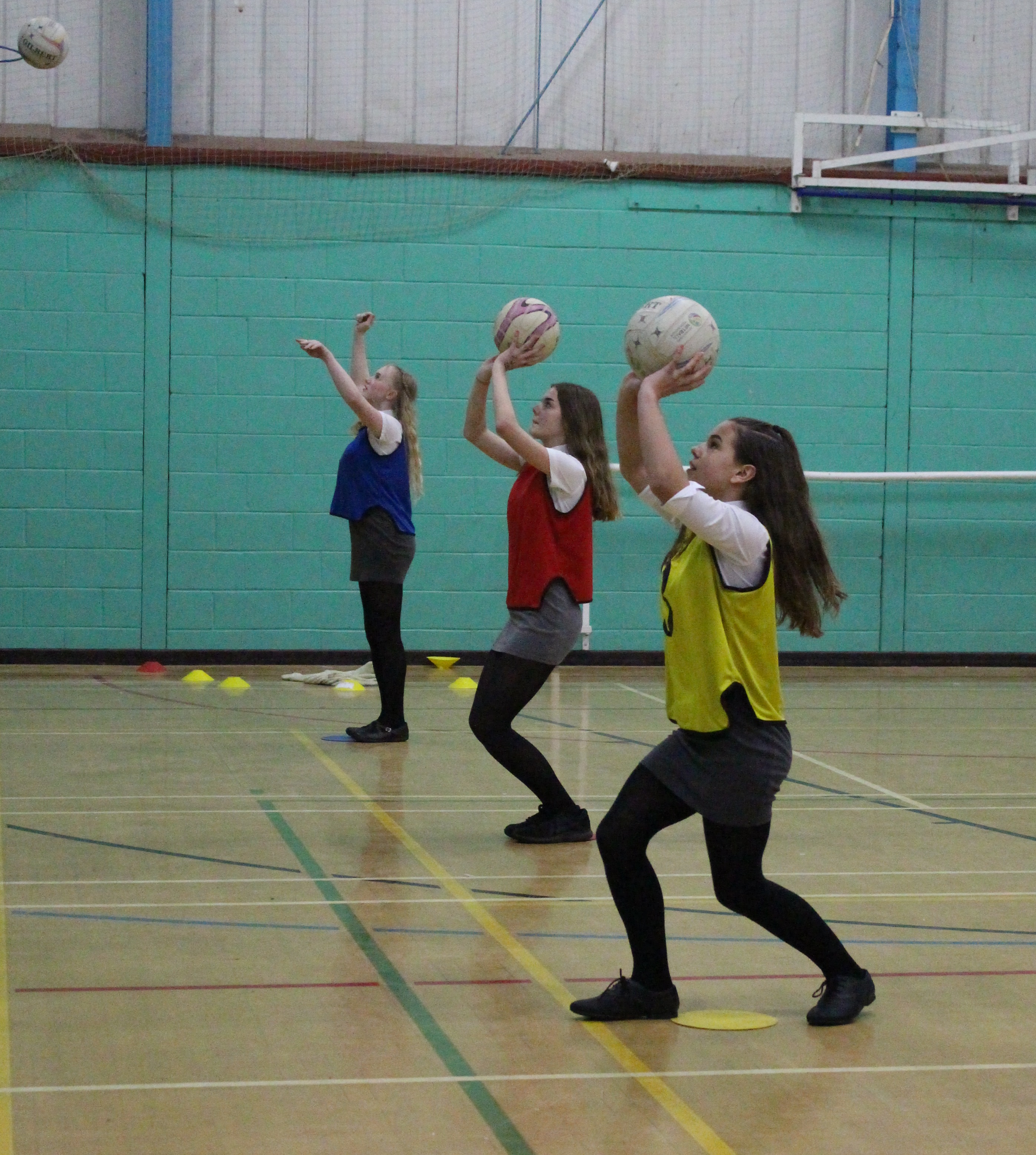 netball cropped.jpg