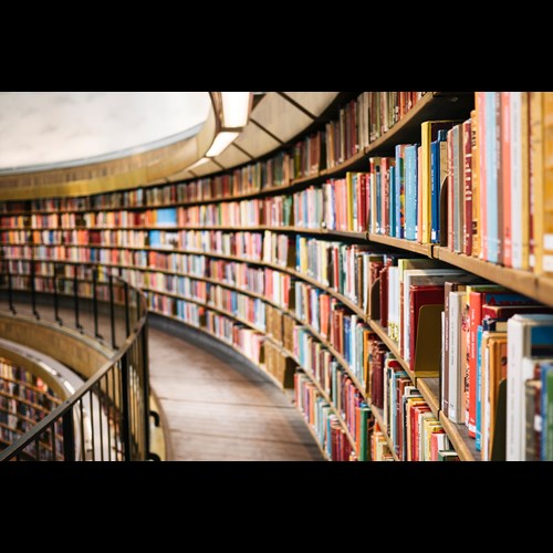 Reading books.jpg