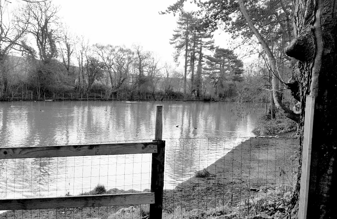 Stephenson photo.jpg