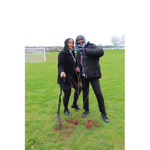 Treeplanting.png