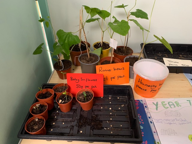 Year 7 gardening.png