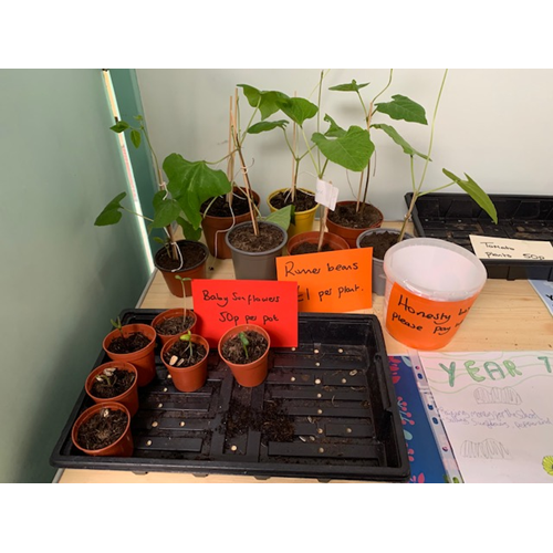 Year 7 gardening.png
