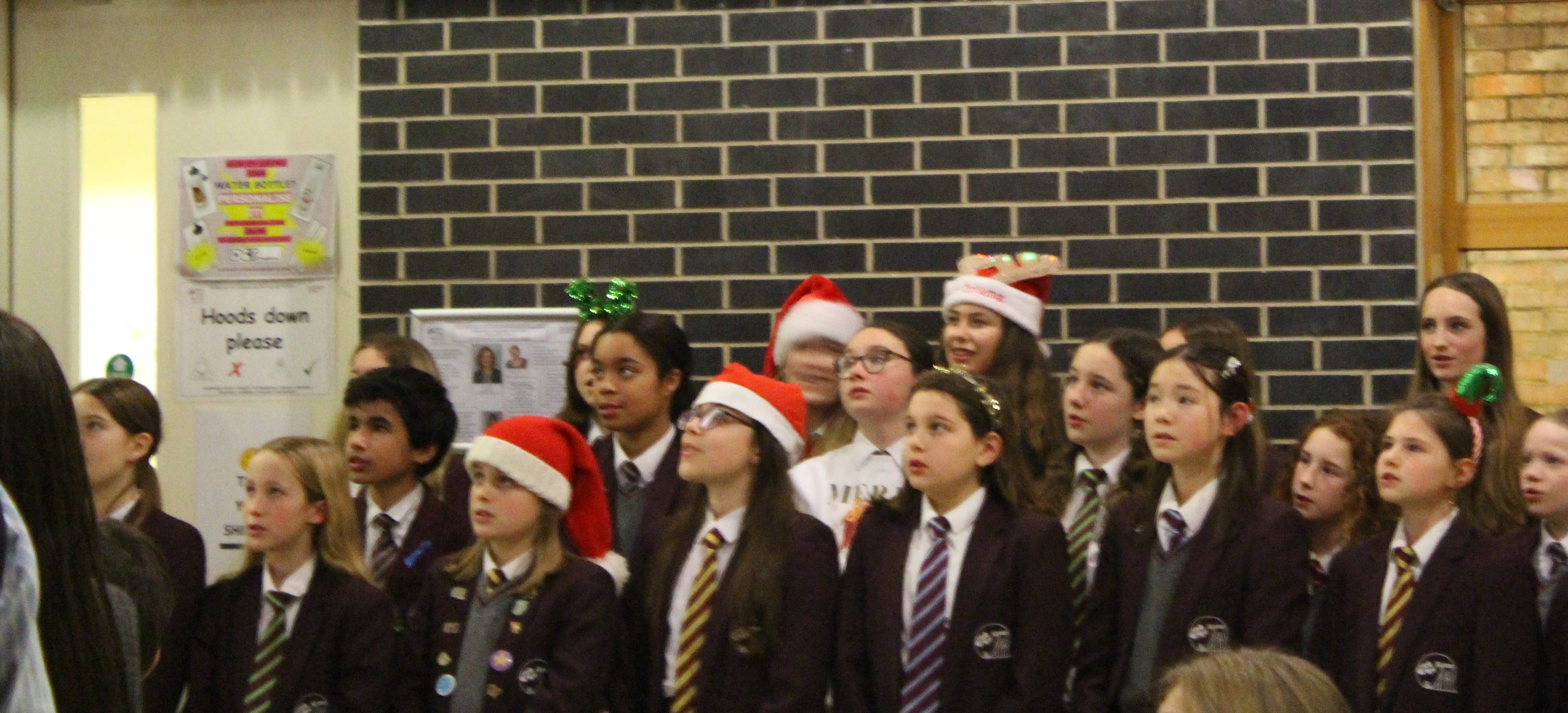 Christmas carols.jpg